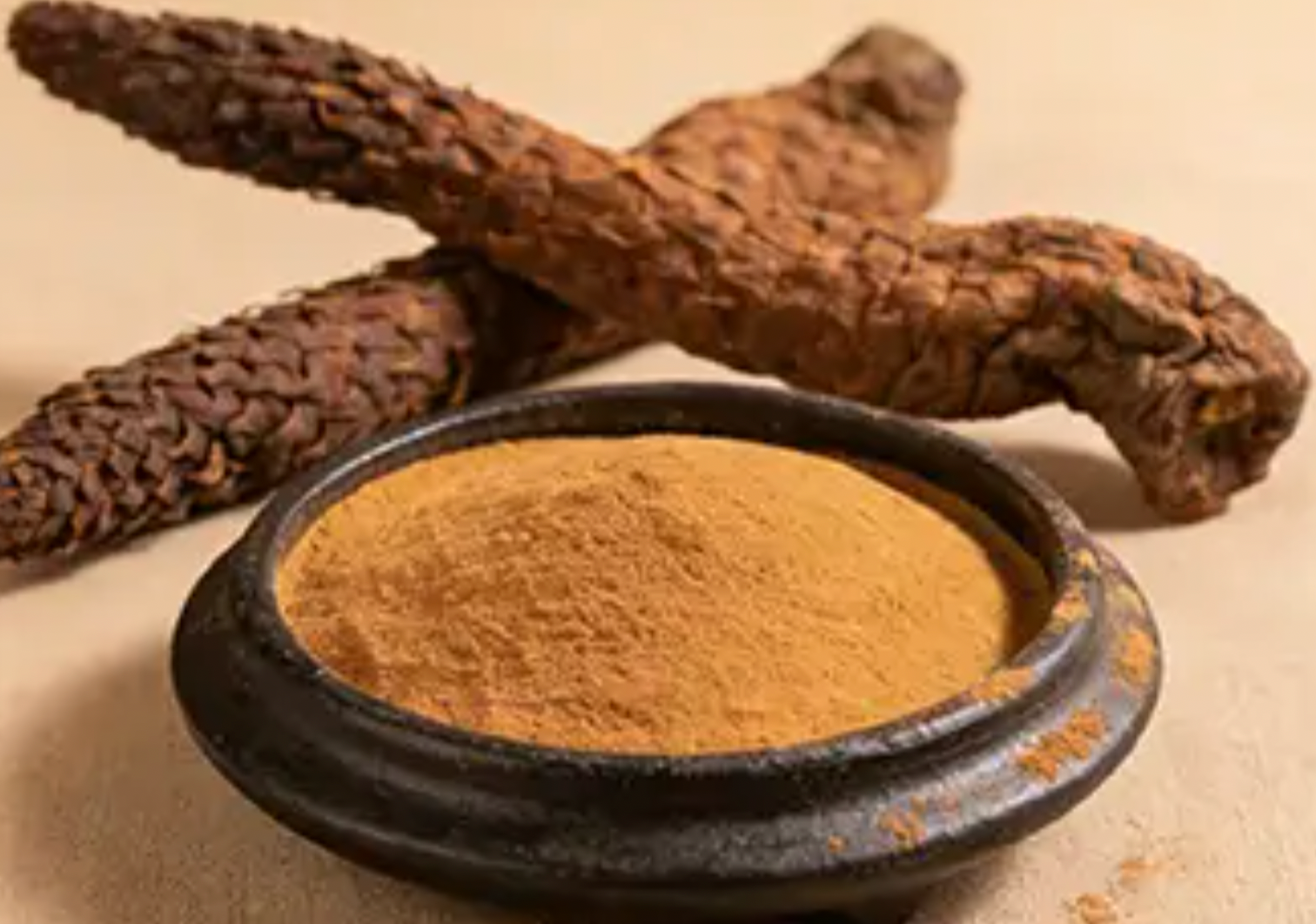 Dried cistanche stems and a bowl of powdered form on a beige background